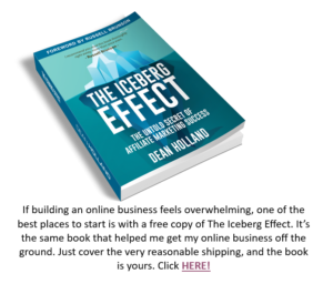 The Iceberg Effect book